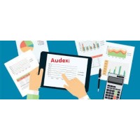 AUDEXI