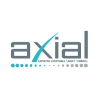 Expertise-comptable, Audit, Conseil