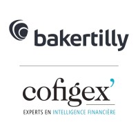 Cofigex - Baker Tilly Group